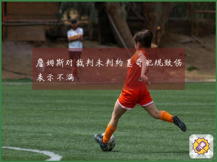詹姆斯对裁判未判约基奇犯规致伤表示不满
