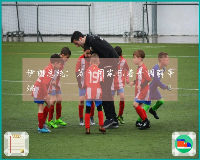 伊朗总统：若干国家已着手调解争端