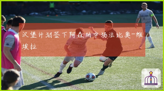 汉堡计划签下阿森纳中场法比奥-维埃拉