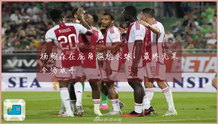 杨瀚森在底角尴尬求球，最终无果冷场放手