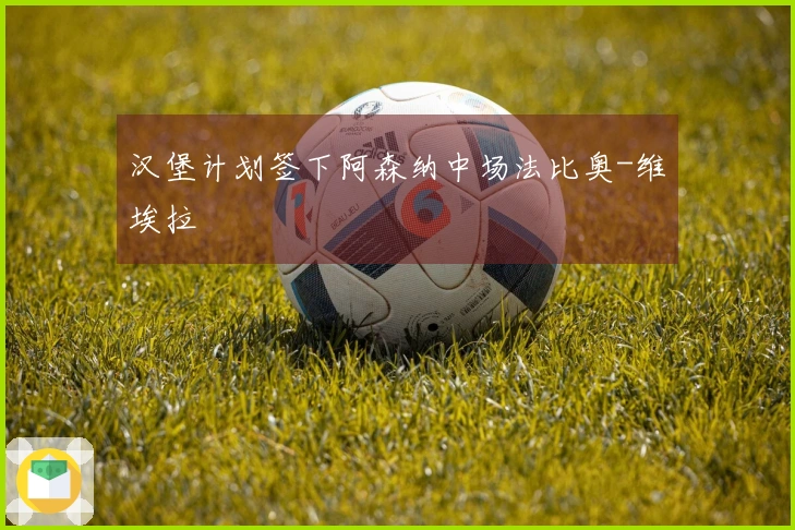 汉堡计划签下阿森纳中场法比奥-维埃拉